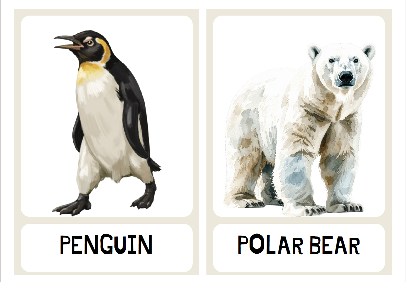English 5 - Theme 7 Animals FLASHCARDS